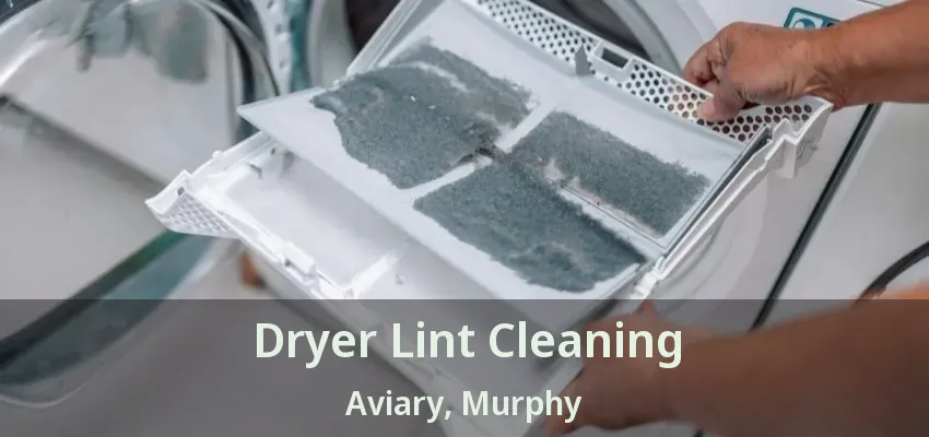 Dryer Lint Cleaning Aviary, Murphy - TX