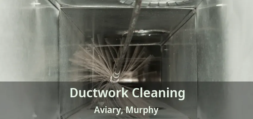 Ductwork Cleaning Aviary, Murphy - TX