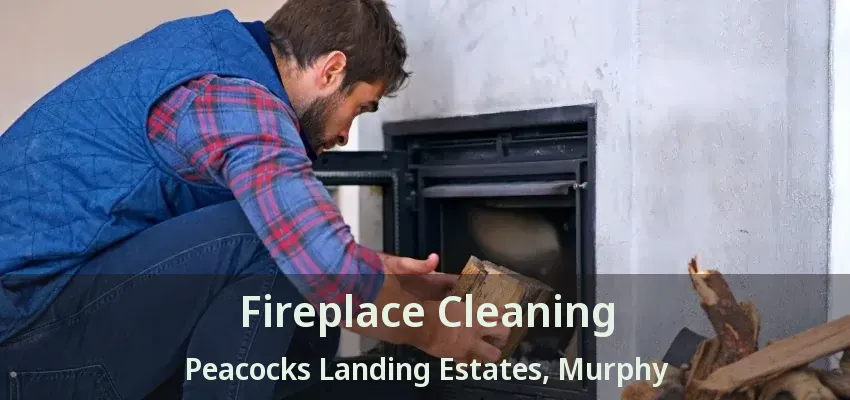 Fireplace Cleaning Peacocks Landing Estates, Murphy - TX