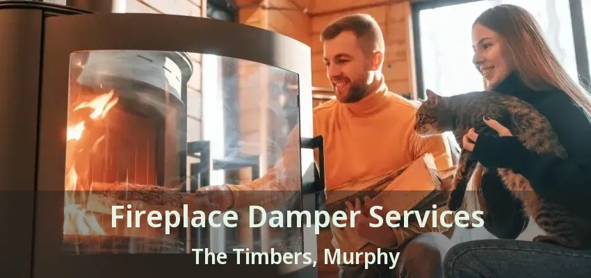 Fireplace Damper Services The Timbers, Murphy - TX