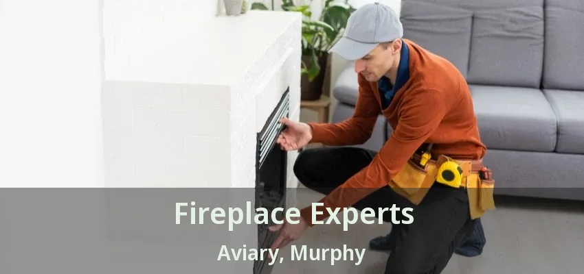 Fireplace Experts Aviary, Murphy - TX