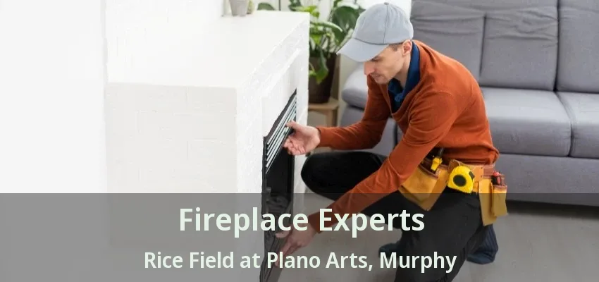 Fireplace Experts Rice Field at Plano Arts, Murphy - TX