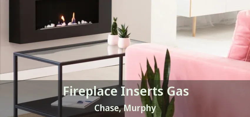 Fireplace Inserts Gas Chase, Murphy - TX