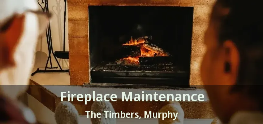 Fireplace Maintenance The Timbers, Murphy - TX