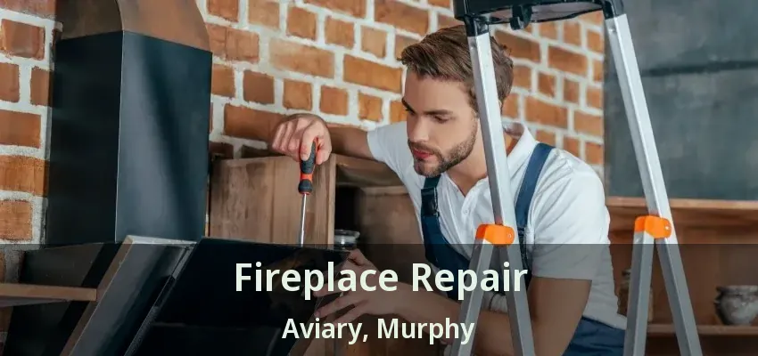 Fireplace Repair Aviary, Murphy - TX
