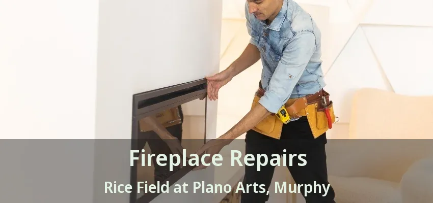 Fireplace Repairs Rice Field at Plano Arts, Murphy - TX