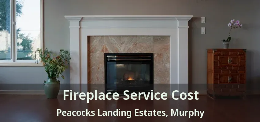 Fireplace Service Cost Peacocks Landing Estates, Murphy - TX