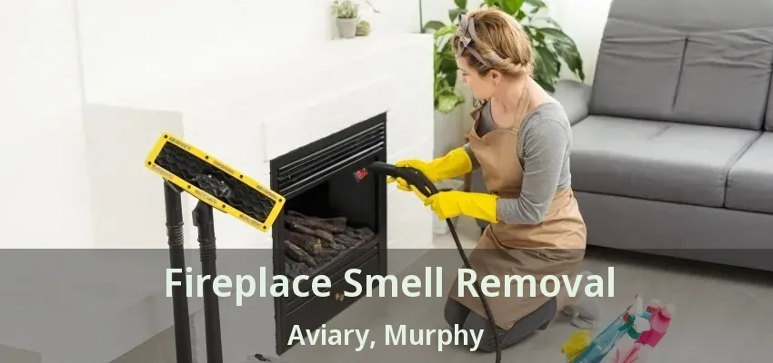 Fireplace Smell Removal Aviary, Murphy - TX