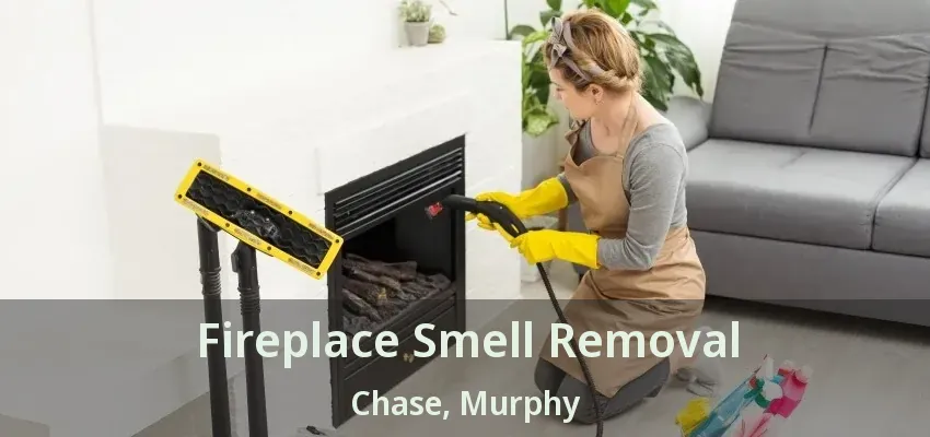 Fireplace Smell Removal Chase, Murphy - TX