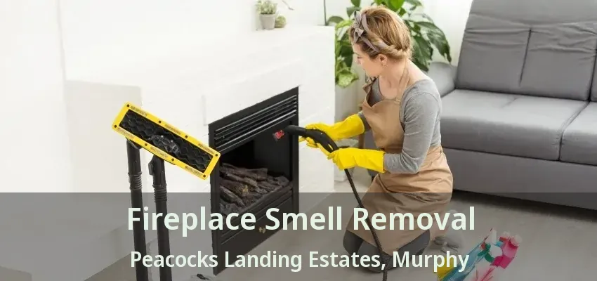 Fireplace Smell Removal Peacocks Landing Estates, Murphy - TX