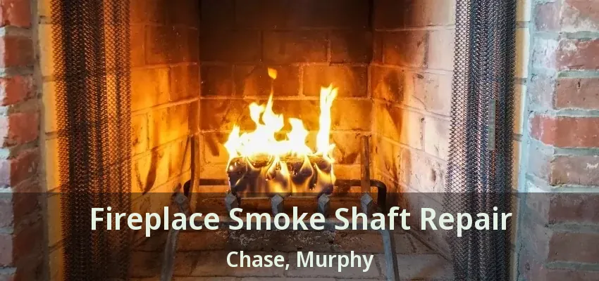 Fireplace Smoke Shaft Repair Chase, Murphy - TX