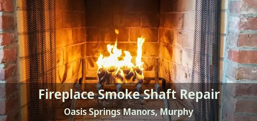 Fireplace Smoke Shaft Repair Oasis Springs Manors, Murphy - TX
