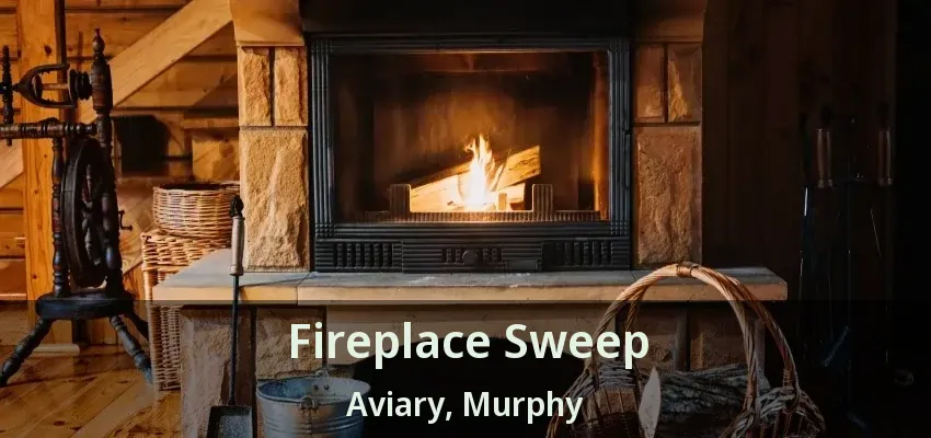 Fireplace Sweep Aviary, Murphy - TX