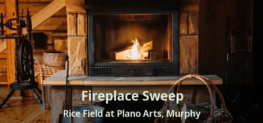 Fireplace Sweep Rice Field at Plano Arts, Murphy - TX