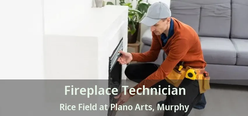 Fireplace Technician Rice Field at Plano Arts, Murphy - TX