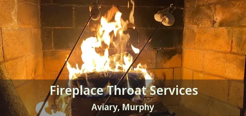 Fireplace Throat Services Aviary, Murphy - TX