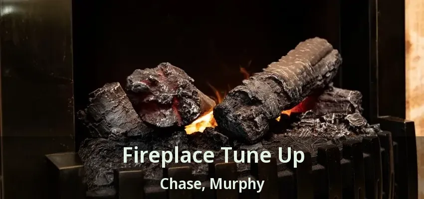 Fireplace Tune Up Chase, Murphy - TX