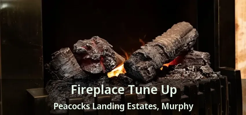 Fireplace Tune Up Peacocks Landing Estates, Murphy - TX