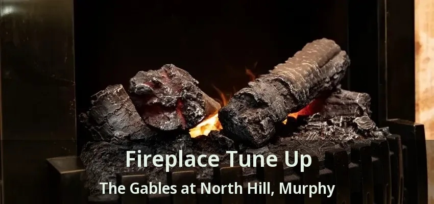 Fireplace Tune Up The Gables at North Hill, Murphy - TX
