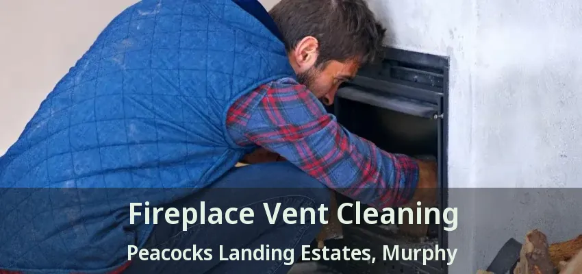 Fireplace Vent Cleaning Peacocks Landing Estates, Murphy - TX
