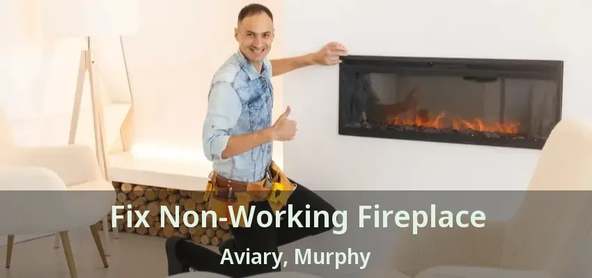 Fix Non-Working Fireplace Aviary, Murphy - TX