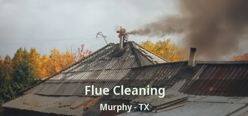 Flue Cleaning Murphy - TX