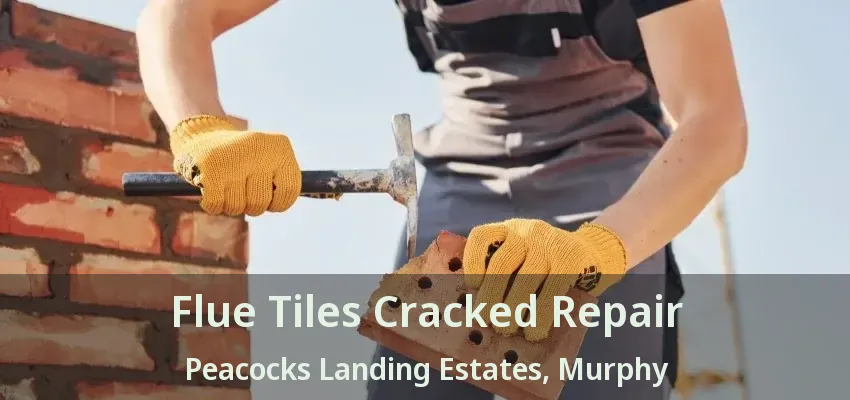 Flue Tiles Cracked Repair Peacocks Landing Estates, Murphy - TX