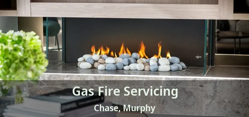 Gas Fire Servicing Chase, Murphy - TX