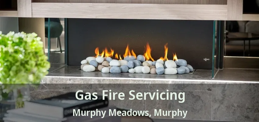 Gas Fire Servicing Murphy Meadows, Murphy - TX