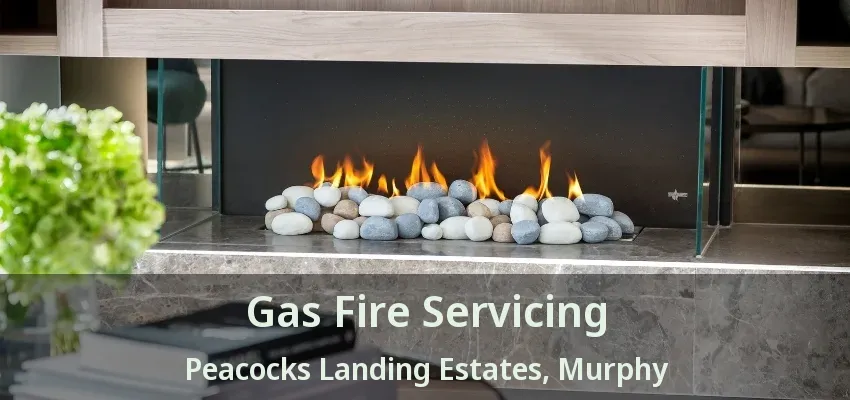 Gas Fire Servicing Peacocks Landing Estates, Murphy - TX