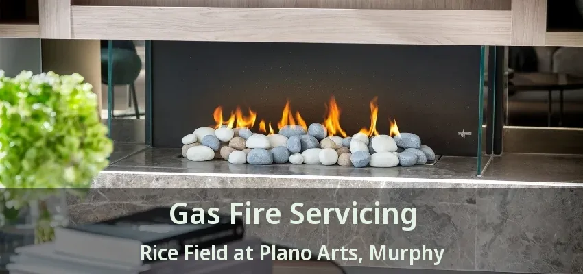 Gas Fire Servicing Rice Field at Plano Arts, Murphy - TX