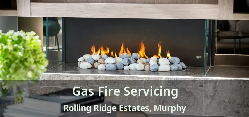 Gas Fire Servicing Rolling Ridge Estates, Murphy - TX