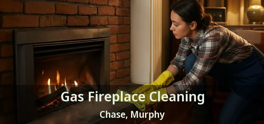 Gas Fireplace Cleaning Chase, Murphy - TX