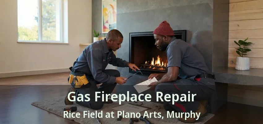 Gas Fireplace Repair Rice Field at Plano Arts, Murphy - TX
