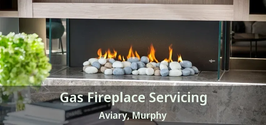 Gas Fireplace Servicing Aviary, Murphy - TX