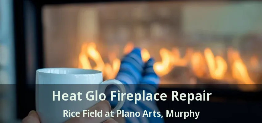 Heat Glo Fireplace Repair Rice Field at Plano Arts, Murphy - TX