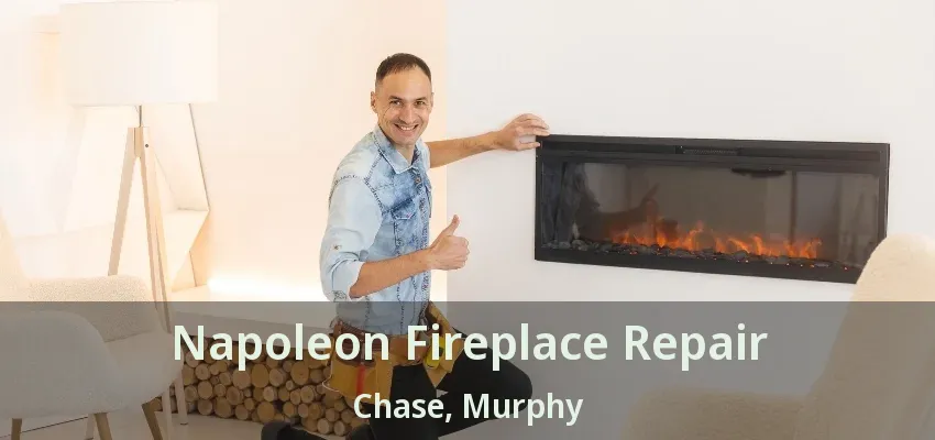 Napoleon Fireplace Repair Chase, Murphy - TX