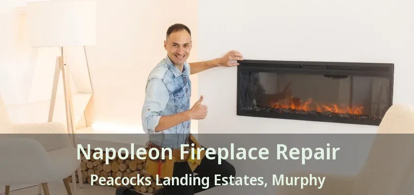 Napoleon Fireplace Repair Peacocks Landing Estates, Murphy - TX