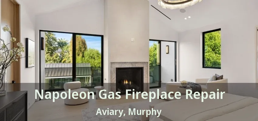 Napoleon Gas Fireplace Repair Aviary, Murphy - TX