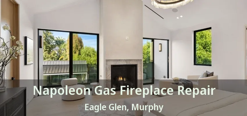 Napoleon Gas Fireplace Repair Eagle Glen, Murphy - TX