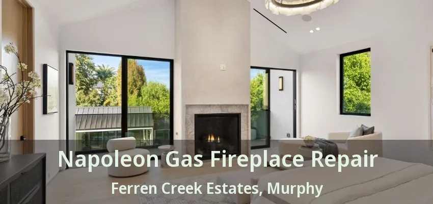 Napoleon Gas Fireplace Repair Ferren Creek Estates, Murphy - TX