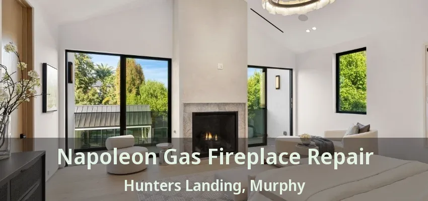 Napoleon Gas Fireplace Repair Hunters Landing, Murphy - TX