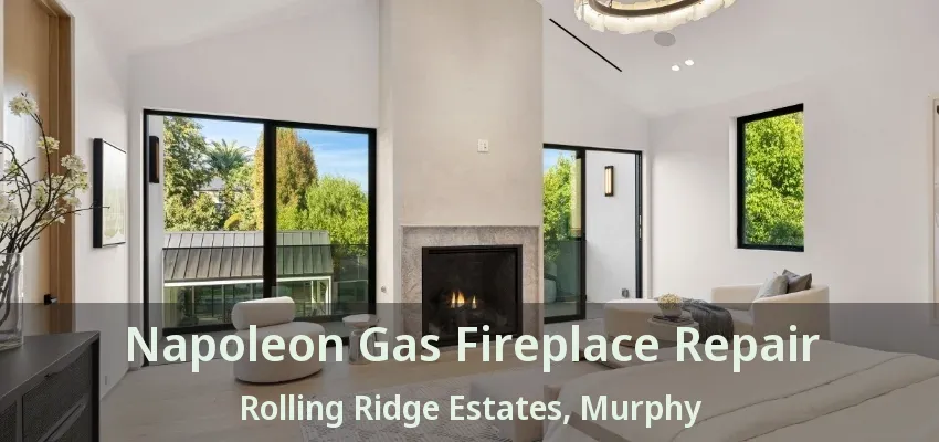 Napoleon Gas Fireplace Repair Rolling Ridge Estates, Murphy - TX