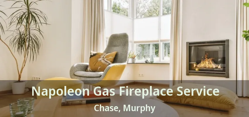 Napoleon Gas Fireplace Service Chase, Murphy - TX