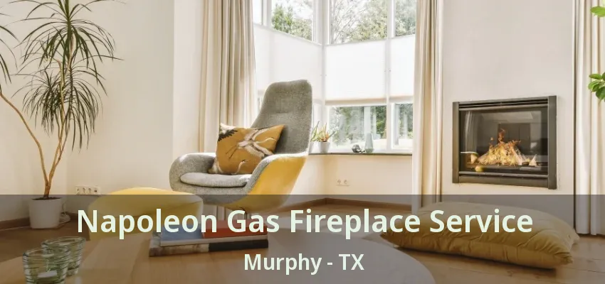 Napoleon Gas Fireplace Service Murphy - TX