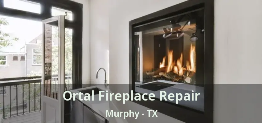 Ortal Fireplace Repair Murphy - TX