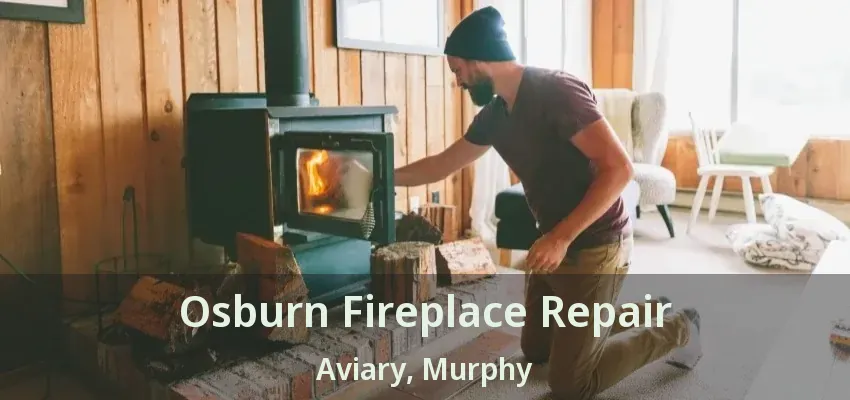 Osburn Fireplace Repair Aviary, Murphy - TX