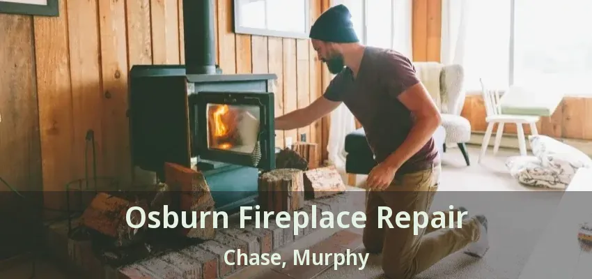 Osburn Fireplace Repair Chase, Murphy - TX