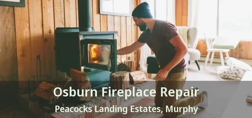 Osburn Fireplace Repair Peacocks Landing Estates, Murphy - TX