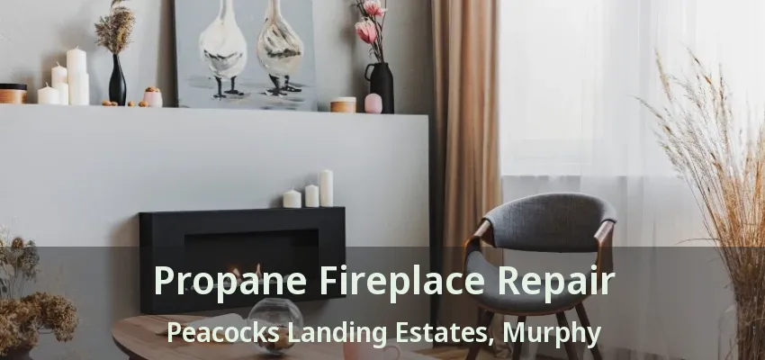 Propane Fireplace Repair Peacocks Landing Estates, Murphy - TX